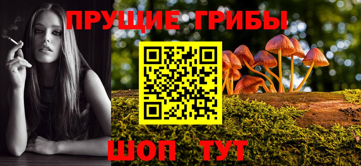 закладка  Вход с VPN  Майкоп  Галлюциногенные грибы GOLDEN TEACHER 